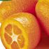 Fructul de kumquat. Ce trebuie sa cunosti inainte sa-l incerci?