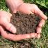 Importanta fertilizarii solului