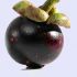Fructe exotice: mangostan