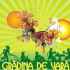 Gradina de vara 2009
