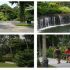 Gradina Botanica din Singapore