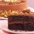 Tort de migdale