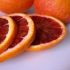 Citrus sinensis