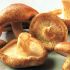 Ciupercile
