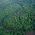 Padurea ecuatoriala - plamanul verde al planetei
