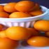 Arbustul Kumquat