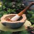 Homeopatia - o metoda medicala alternativa