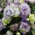 Magia florilor de Lisianthus 