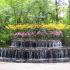 Gradina Botanica din Singapore