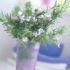 Aromaterapia