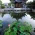 Gradina Chinezeasca din Portland