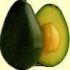Pentru un apartament exotic: arborele de avocado