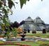 Gradinile palatului Schonbrunn