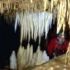 Proiect de conservare a pesterilor in judetul Bihor