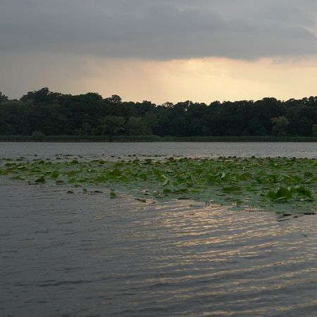 Aria naturala protejata “Lacul Snagov” 