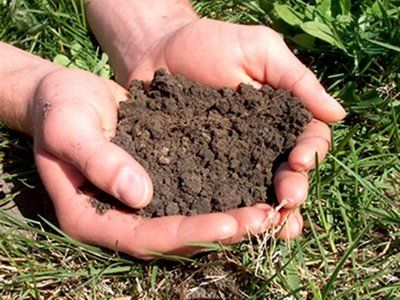 Importanta fertilizarii solului