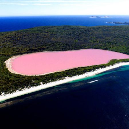 Hillier, unul dintre putinele lacuri roz din lume