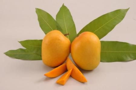 Mango - regele fructelor exotice