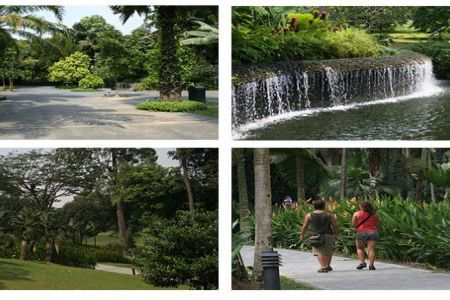 Gradina Botanica din Singapore