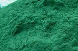 alge spirulina