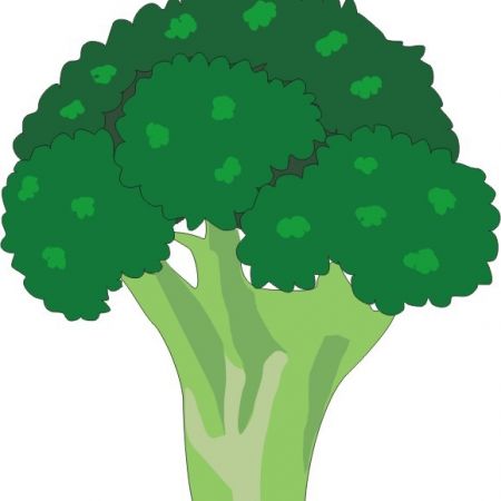 Retete cu broccoli