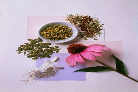 echinacea