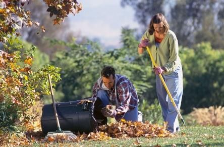 Modalitati ecologice de a face curatenie in gradina