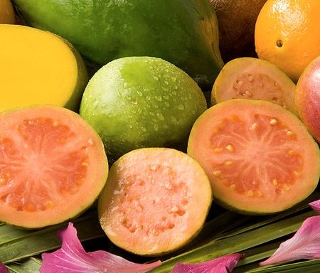 Fructul de guava – cateva motive pentru a-l introduce in alimentatie  