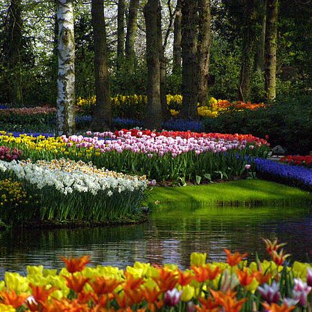 Parcul Keukenhof – Gradina Europei