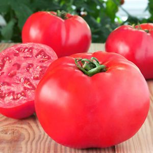 Tomate Raspberry Giant 
