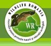 Wildlife Romania