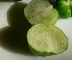 tomatillo salsa