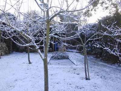 gradina sub patura de zapada