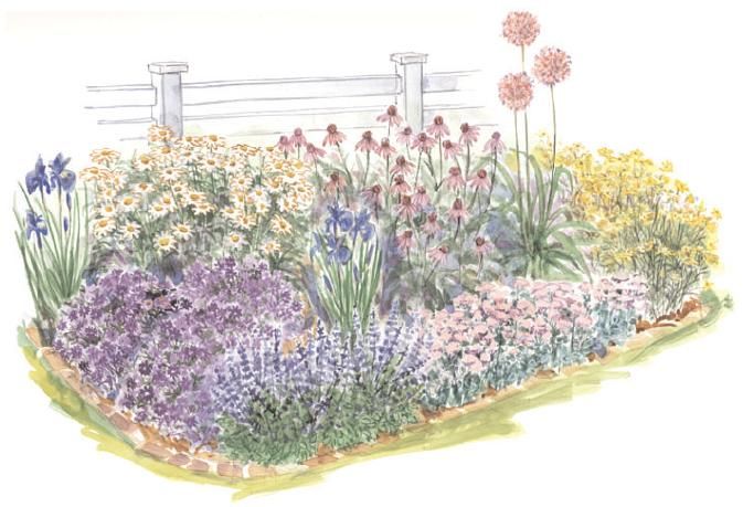 garden plan - A full sun corner in the garden