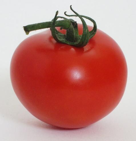 tomatoe