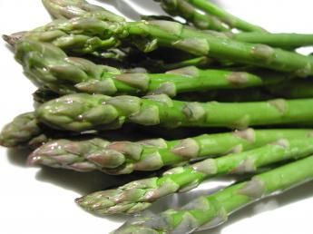 Asparagus officinalis