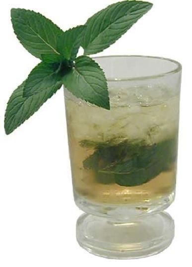 cocktail mint julep