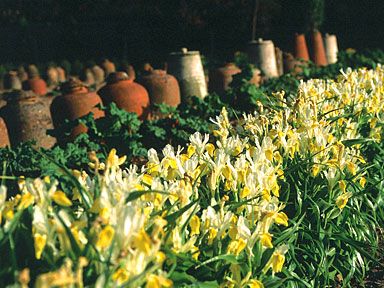 gradinile de pe domeniul heligan - gradina de legume (1)