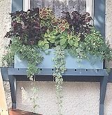 jardiniera clasica