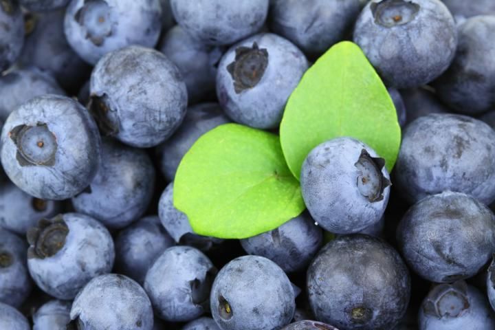 Blueberry Shake