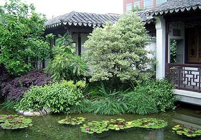 chinese garden