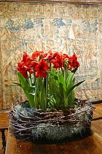 aranjament floral facut la Castelul de Chenonceau (2)
