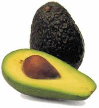 avocado