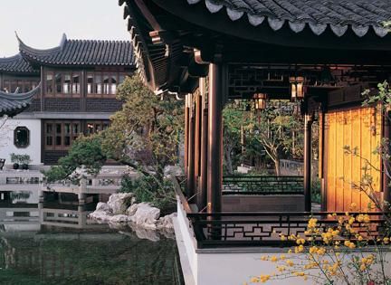 flowers bathing in Spring Rain Pavilion, Teahouse behind