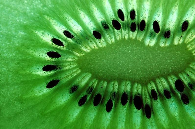 seminte de kiwi