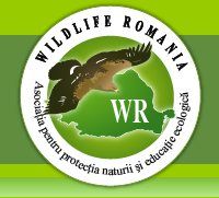 Wildlife Romania