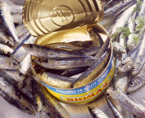 sardinele_sunt_bogate_in_calciu