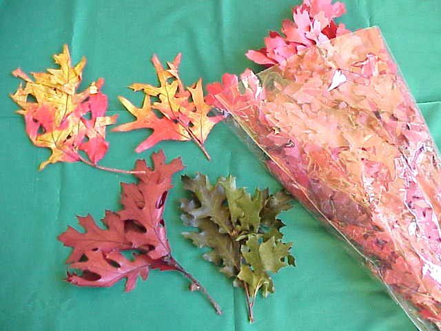 frunze decorative