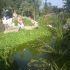 Balta