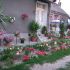 Gradina Mea
